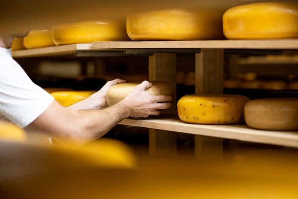 Les secrets d'une étiquette fromagère réussie : des astuces pour vendre mieux et plus